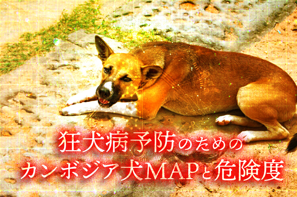Cambodian dog MAP and risk for rabies prevention