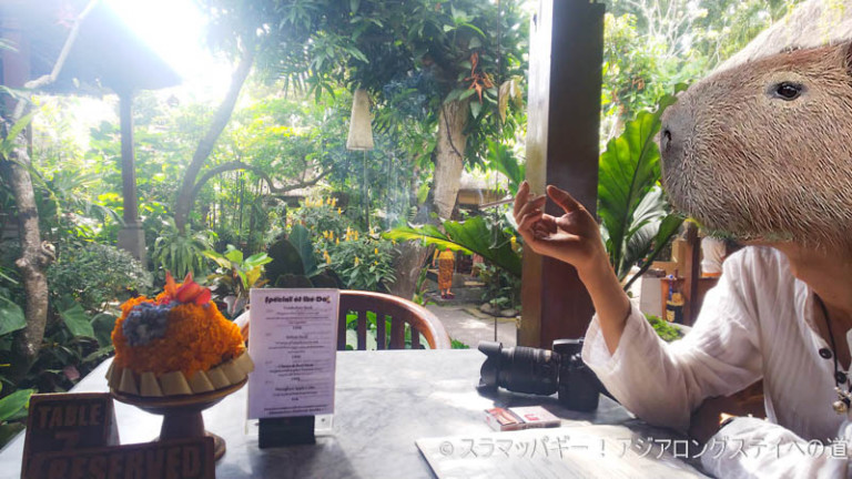An adult holiday was in Ubud. Encounter with Wayang Cafe.